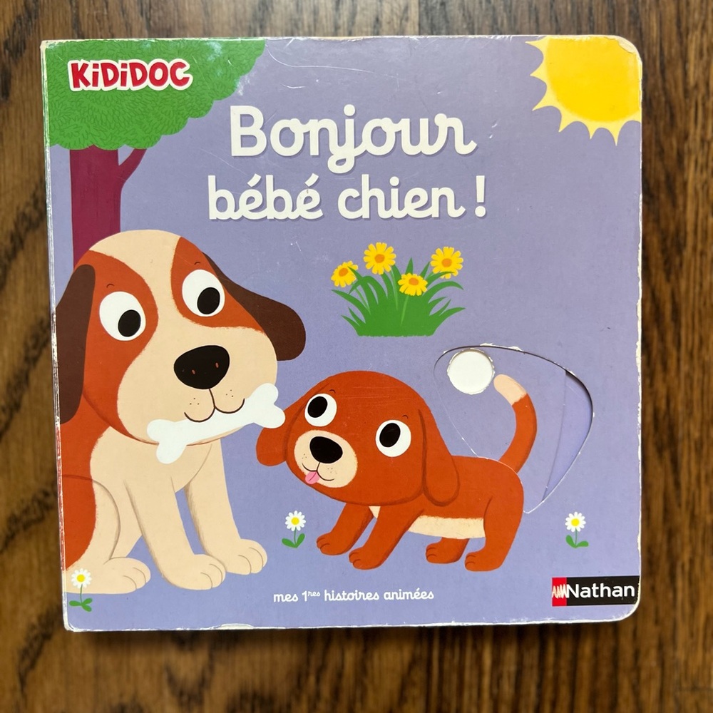 Bonjour bébé chien - French Board Book